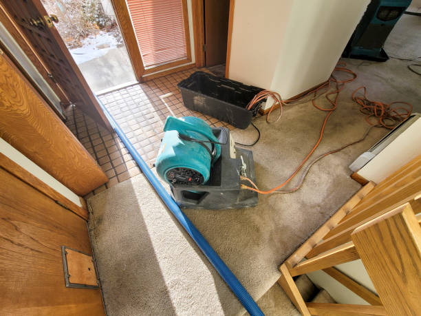 Best Sewage cleanup and water damage restoration  in De Leon Springs, FL