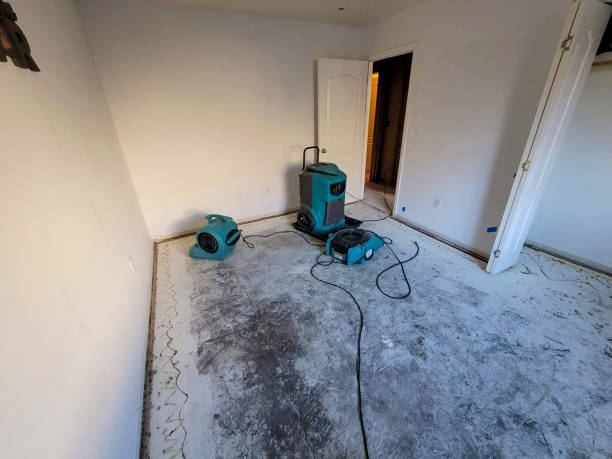 Best Commercial water damage restoration  in De Leon Springs, FL