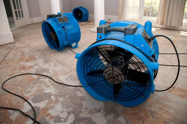 Best 24-hour water damage restoration  in De Leon Springs, FL