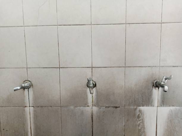 Best Water damage restoration near me  in De Leon Springs, FL