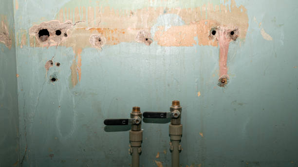 Best Basement water damage restoration  in De Leon Springs, FL