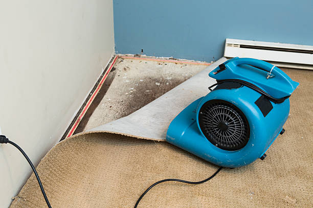  De Leon Springs, FL Water damage restoration Pros